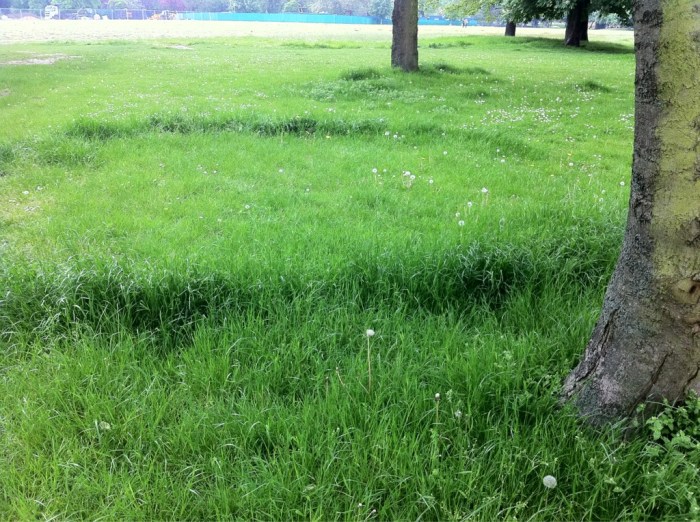 7466230076_2238acae19_o