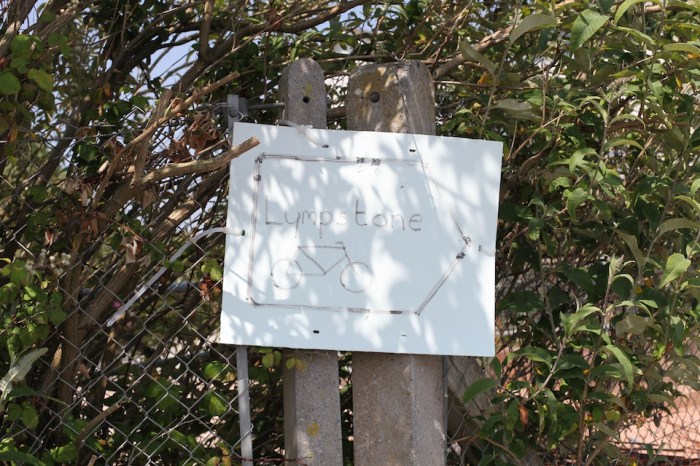 enforced_order_louise_downe