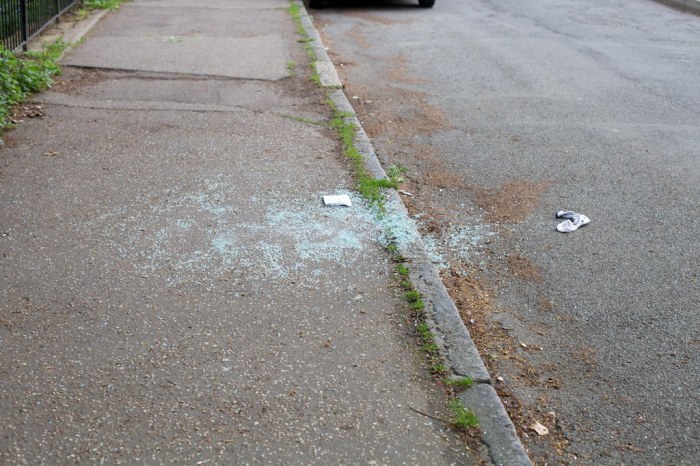 Government_services_aren't_done_so_neither_am_I_2015