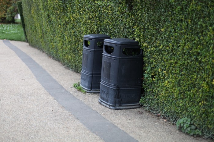 growth_Louise_Downe_2012_2