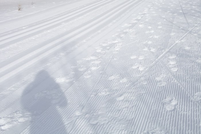 Moularity_3_Louise_Downe_2013