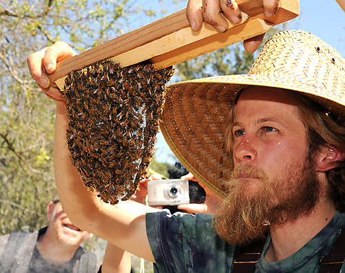 responsive_aesthetics_Louise_Downe_2012