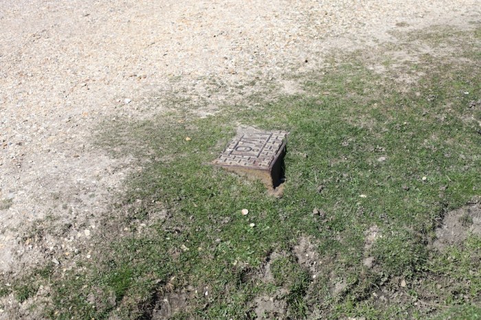 use_and_non-use_2_Louise_Downe_2013