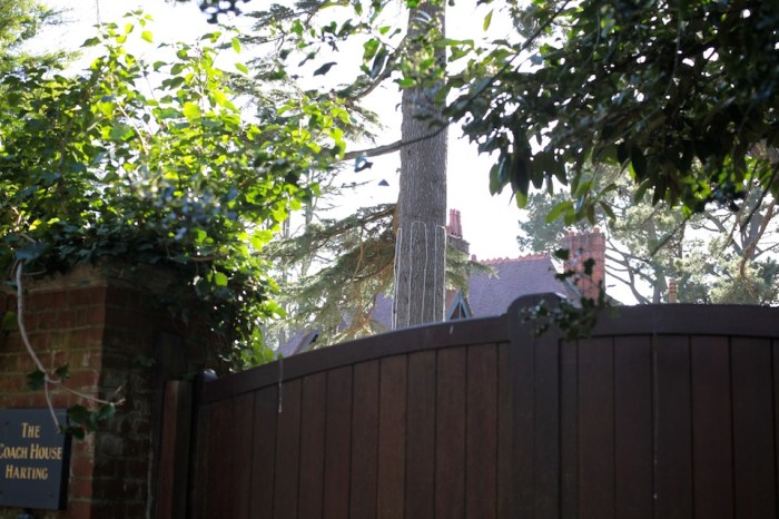 use_and_non-use_3_Louise_Downe_2013