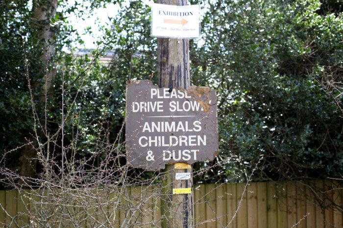 use_and_non-use_Louise_Downe_2013